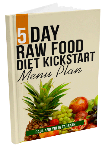 One Day 80/10/10 Raw Vegan Diet Menu Plan - Rawsomehealthy